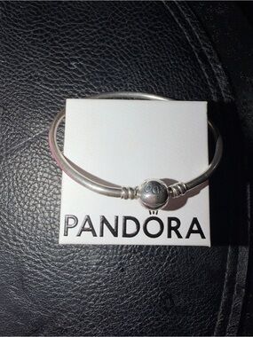 Pandora Silver Double Bangle Bracelet with Logo Clasp